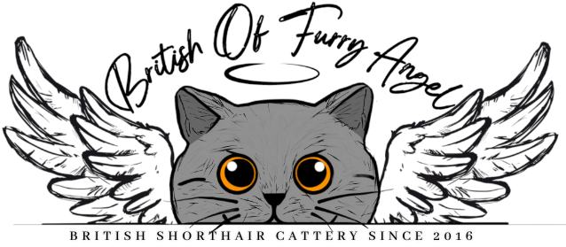 British of Furry Angel logo
